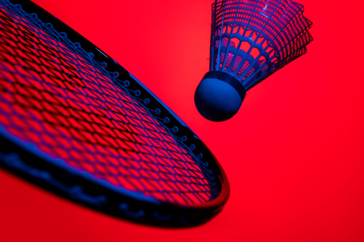 Understanding Game Handicap Betting in Badminton